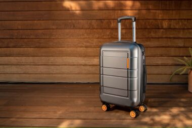 coach luggage