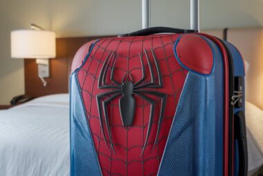 spiderman luggage